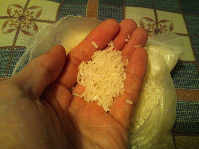 ���V�A�Ă͗����ׂ����čג���