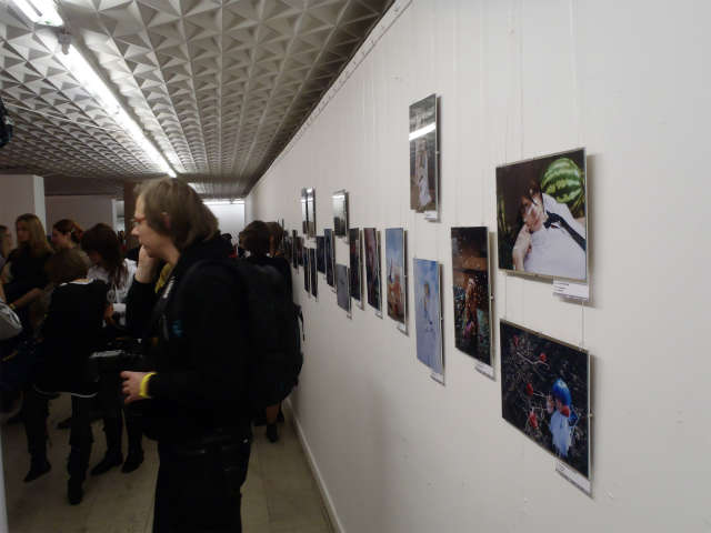 �R�X�v���ʐ^�̓W���@�Ƃɂ����R�X�v�����l�C