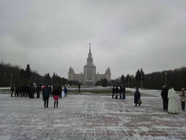 �����������J�b�v���������u�ɗ���̂͒�Ԃ炵���@���̌����̓��X�N����w