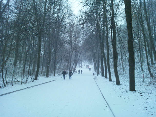 ����͕ʂ̓��ɐ����u�֗����Ƃ���