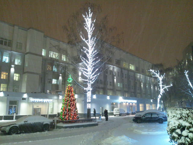 ��Ђ�����r�W�l�X�Z���^�[�ɂā@���̓����ǂ��~����