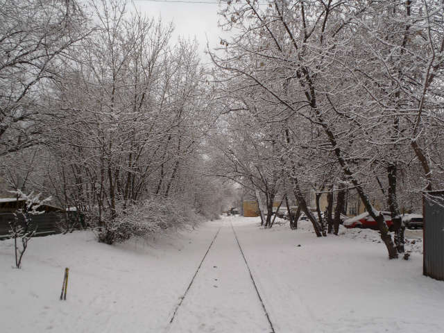 ��ӂŌ��\�Ⴊ�~����