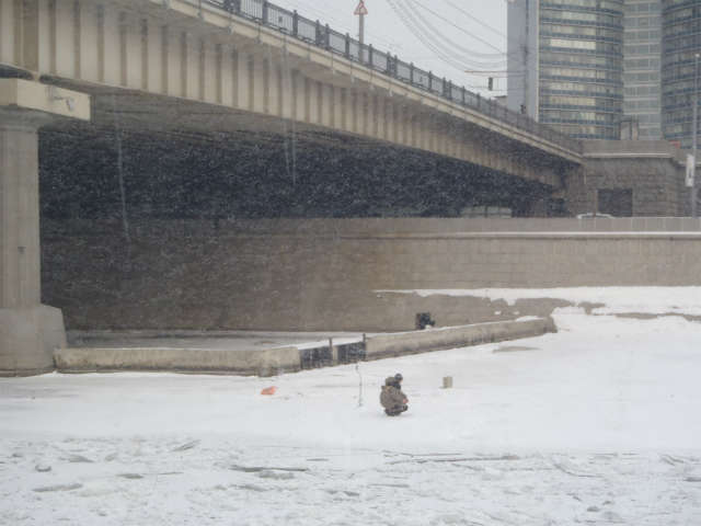 �ނ������l�i���̌㉽����ނ�グ���͗l�j