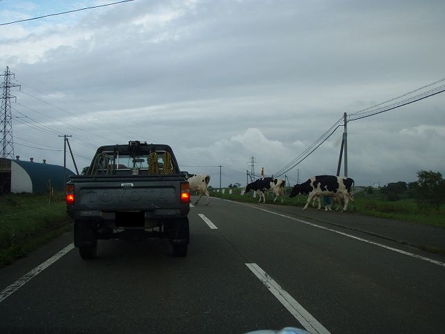 ���H�͉��f�җD��