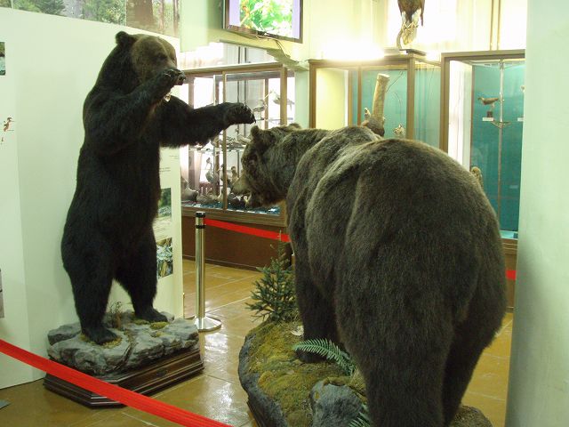 �����ٓ��A�����𕥂��Ύʐ^���B���