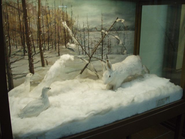 �~�͂��������Y��Ȃ̂��Ǝv����