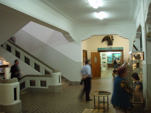 ���j��������ٓ�