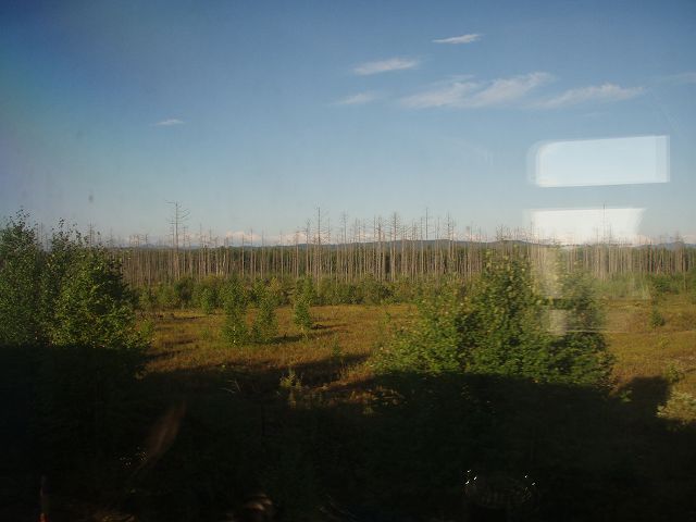 �k�̍r���Ƃ����i�F