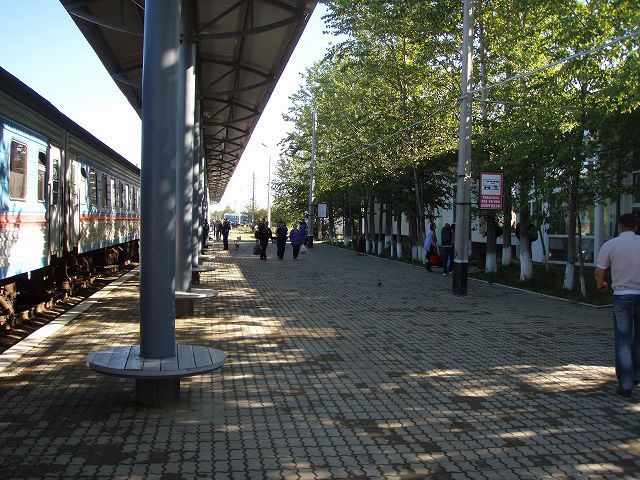 �m�O���L�w�̃v���b�g�z�[��