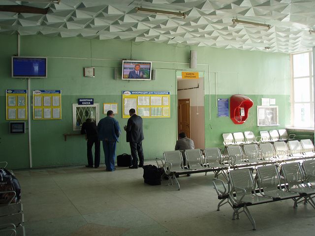 �����Őؕ��𔃂����߂�l�X