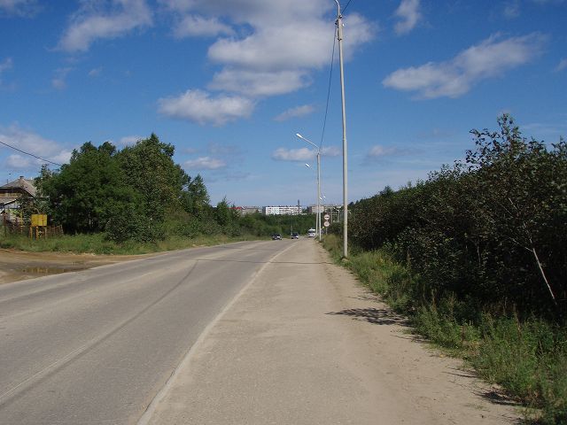 �傫�Ȍ�����������