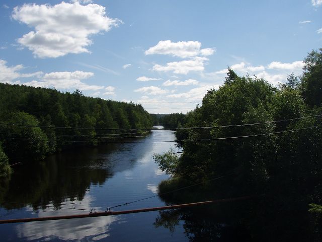 ���R���̂܂܂Ƃ�������̐�