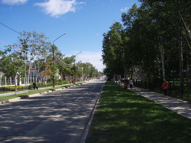 �ڔ����ʂ�����