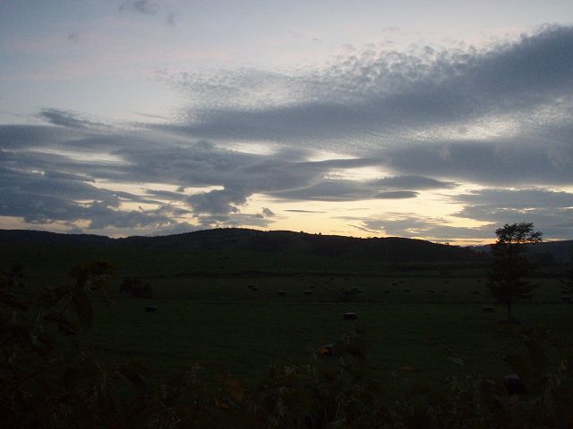 �t��������҂����ɗ[���A�V�C���ǂ��Ȃ��Ă���