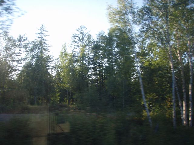 �����т̒����s��