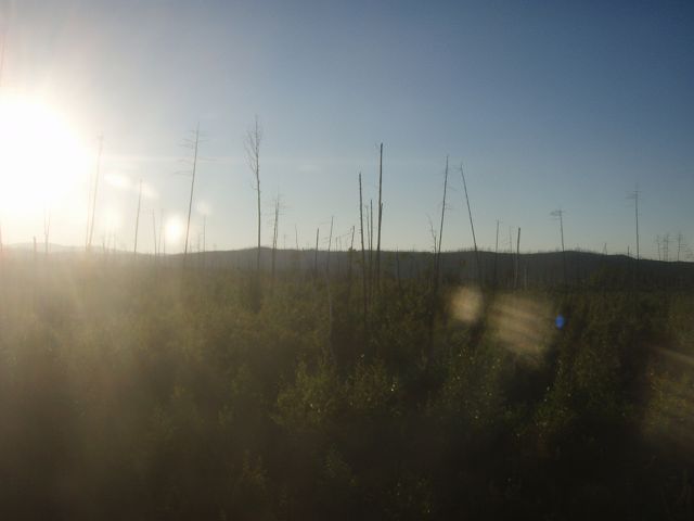 �����X���Ă���