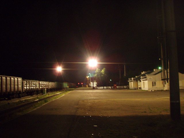 ���̉ݕ���Ԃ��ړ��Ă̗�ԂƂ͎v���������c