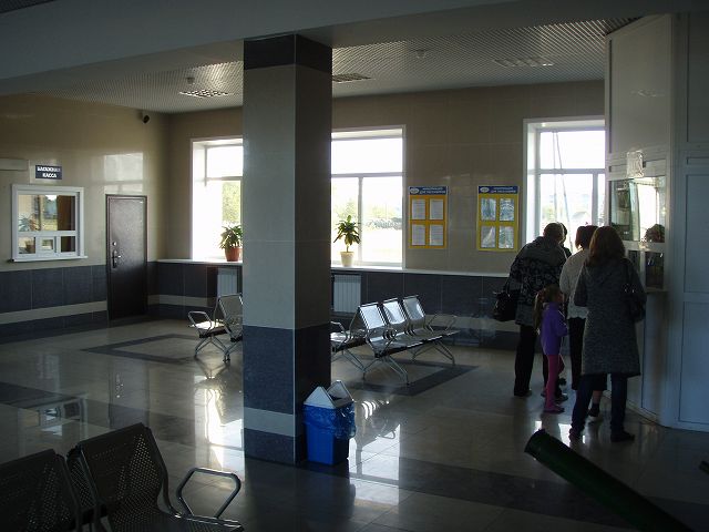 �e�B���t�X�N�w�ҍ���