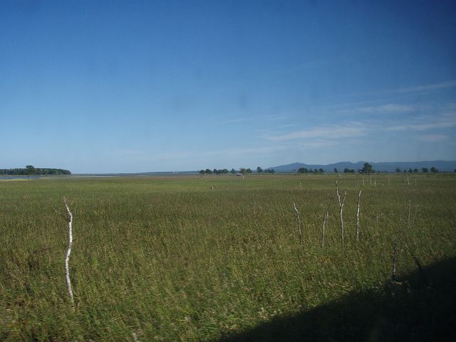 ���n���L����