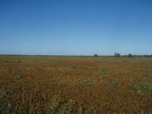 �Ԃ����͉����낤�H