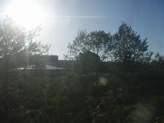 �܂��Ȃ��I�_�A���W�m�T�n�����X�N