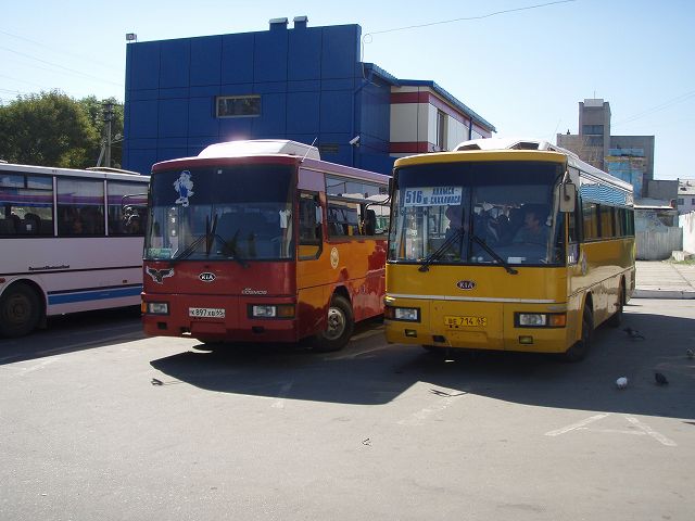  �o�X�Ń��W�m�T�n�����X�N�� 