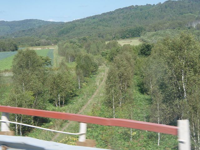  ���H���~����Ă����Ǝv������ 