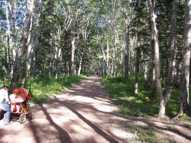  �K�K�[������������� 