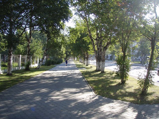  �l�C�̏��Ȃ��A���̒ʂ����� 