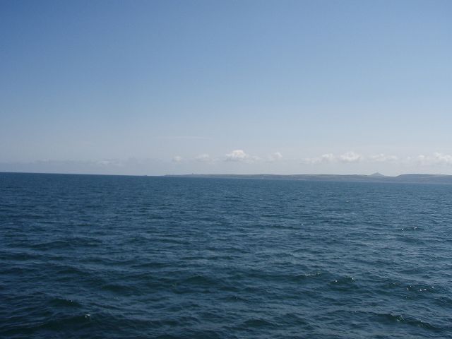 �����ɃT�n�����������Ă���