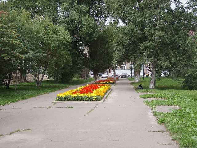 �X�̎���Ƃ���Ɍ���������