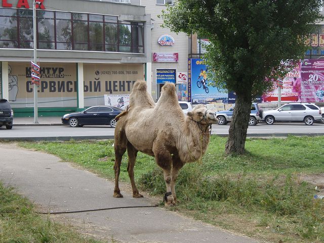 �Ȃ������N�_������