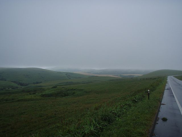 �V�C���ǂ���΁c