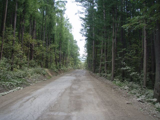 ���ܑ��̓������X�o��