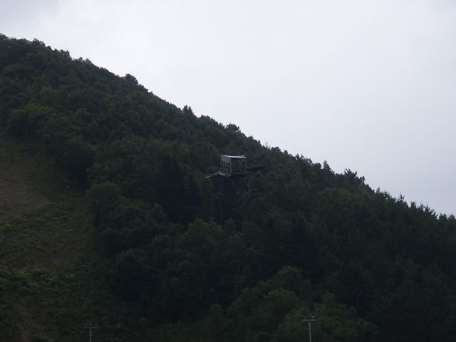 �W�����v��Ǝv���錚����