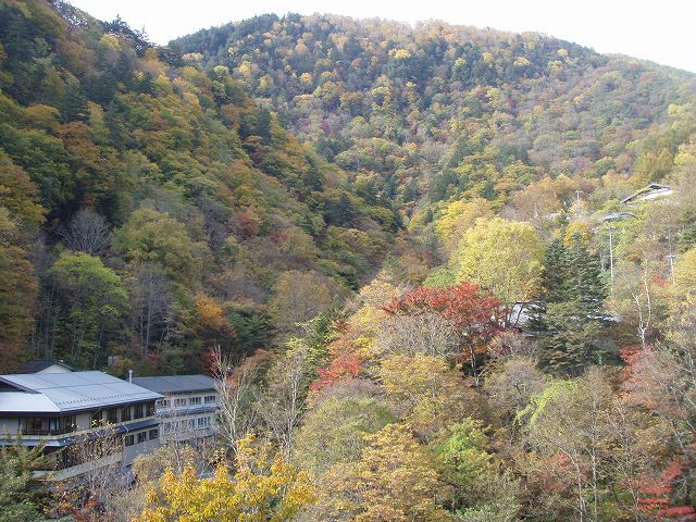 �R�[���铒�߂������͋C