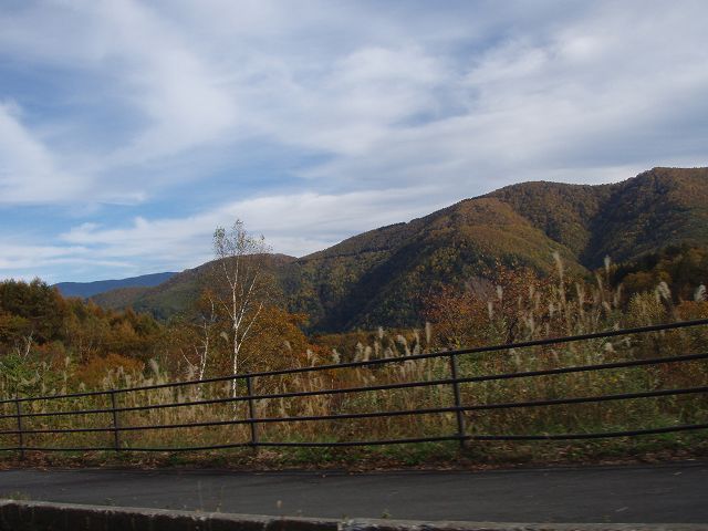 ��ƍ����̂������ (2)