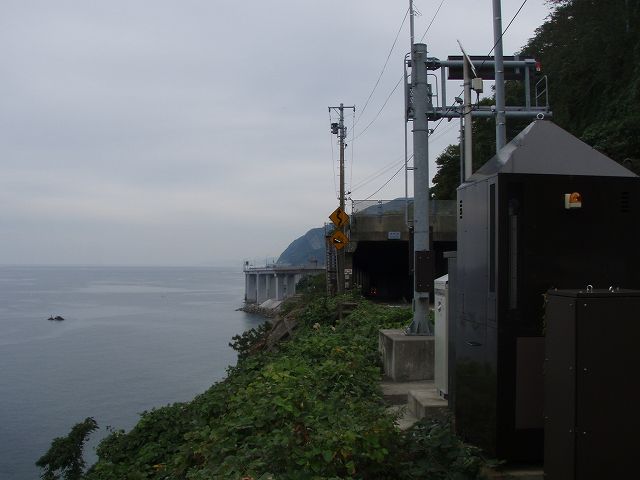 �C�ɉ����ē������т�