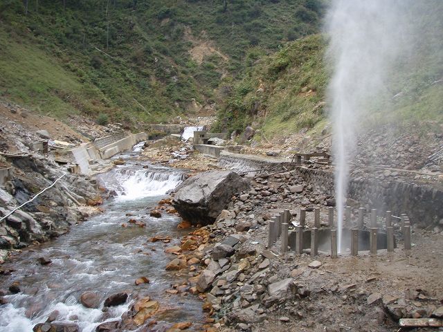 �n���J �����悭�����o���͔̂M�X�̉���