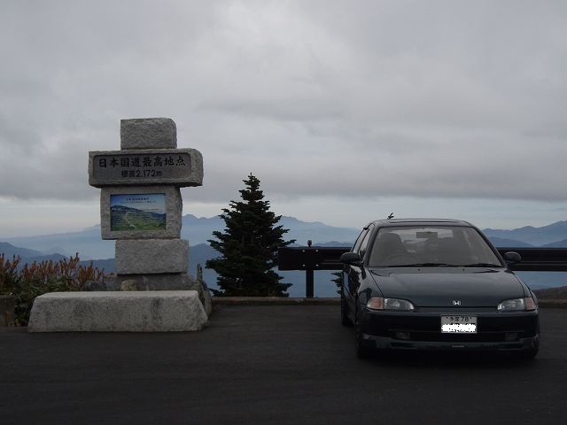 �����ō����A�a��