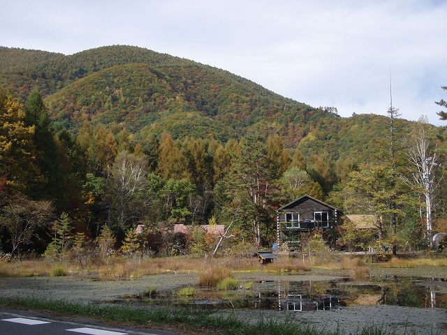 ��ƍ����̂������ (1)