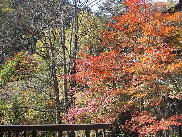 �g�t�̒���