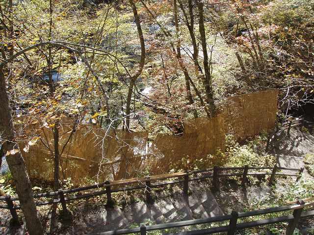 �쌴�̕��։���Ă�����