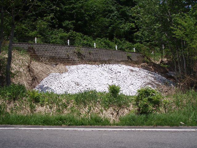 �����ɂ��c�Ⴊ����ق�