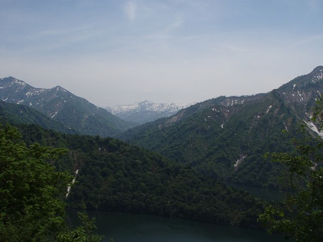 �R�[����������