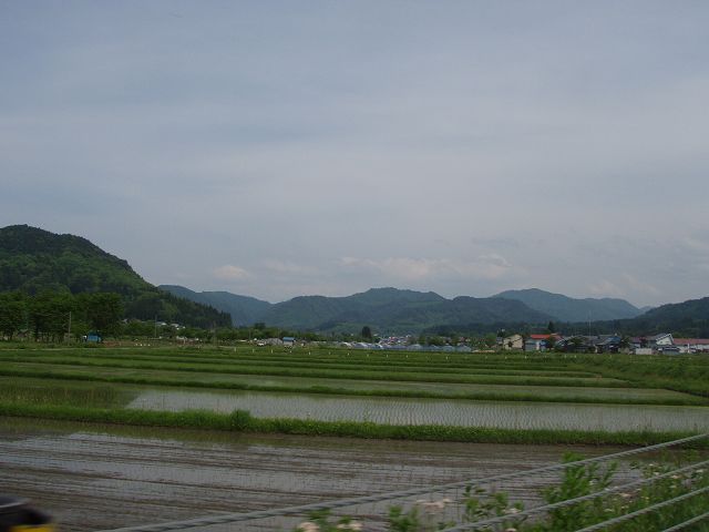 ����ÁA�������̓c�����i