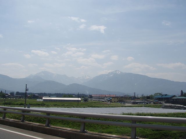 �z��̓c�����i