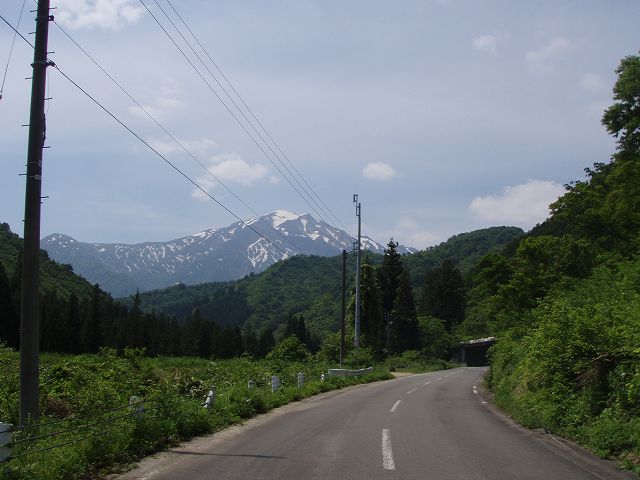 �R�̌������͉�Â̍��@�z���悤�Ƃ������c