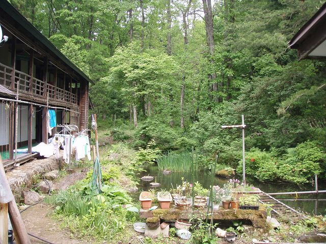 �[���X�̒��̈ꌬ�h�@�h���̂��܂��������͋C