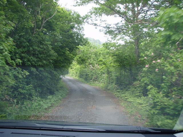 �����A���Ƃ�����